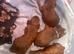 Cockapoo red puppies boy girls