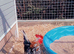 Barnyard mix hatching eggs 6