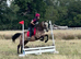 Beautiful Class 1 registered Connemara Mare - 14.1hh - 8 yro