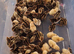 Jumbo Coturnix quail forsale