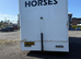 Man 8.155 Horsebox/ Camper