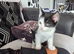 Kittens for sale to good homes