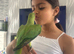 Handreared Indian Ringneck’s
