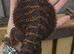 100% Red Monster Male