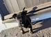 scottish terrier Puppy 2 boys