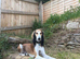 Beautiful KC registered puppies