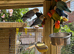 Beautiful young love birds ready to go