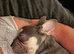 Hugo