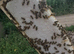 5 frame honey nucleus 2026