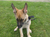 Belgium mally