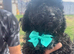 LAST ONE!! Beautiful Black Toy Poodle boy !!