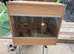 Vivexotic full enclosure
