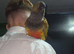 Pantagnion conures
