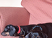Dachshund X Puppies