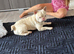 Beautiful albino boy