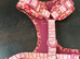 Toy Story harness size Small brand new