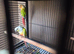Breeding pair of conures