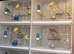 Mixed canary’s available