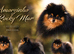 KC DNA SHORT MUZZLE MINIATURE POMERANIAN PUPPIES