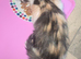 Ragdoll crossed Calico kitten