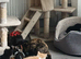 Beautiful healthy 3 kittens looking for home