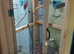 Four canaries in a indoor avery