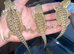 Bearded dragons