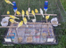 Canaries for sale