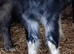 floss