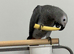 African Grey Baby & Cage