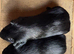 Mother and Daughter Black Pet Self