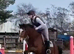 Stunning kind mare