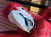 Greenwing macaw babys