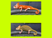 CHAMELEONS