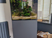 Fish tank and more