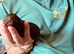 5 Star Miniature Poodle Puppies have arrived