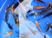 4-6" butterfly koi PLEASE SEE PRICING
