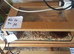 Corn snakes and vivs  for sale