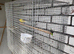 2 large light weight chinchilla  cages
