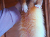 Part Angora kits