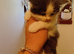 Girl gray and white fluffy
