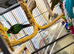 Conures for sale