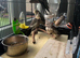 Beautiful Grey Pied Cockatiel chicks available to reserve