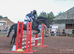 Beautiful ROR Eligible, Dark Bay, 16.1h, Gelding - all rounder type.