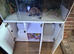 Large 4 foot aquarium and gloss cabinet
