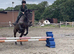 Tia 15.2 TB Mare 11yrs happy hack mother daughter share jumper