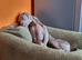 Weimaraner KC Registered 1 Yr Girl.