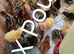 Coturnix quail chicks