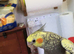 Cockatiel Pearl ( 9 Weeks old Hand reared )