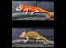CHAMELEONS